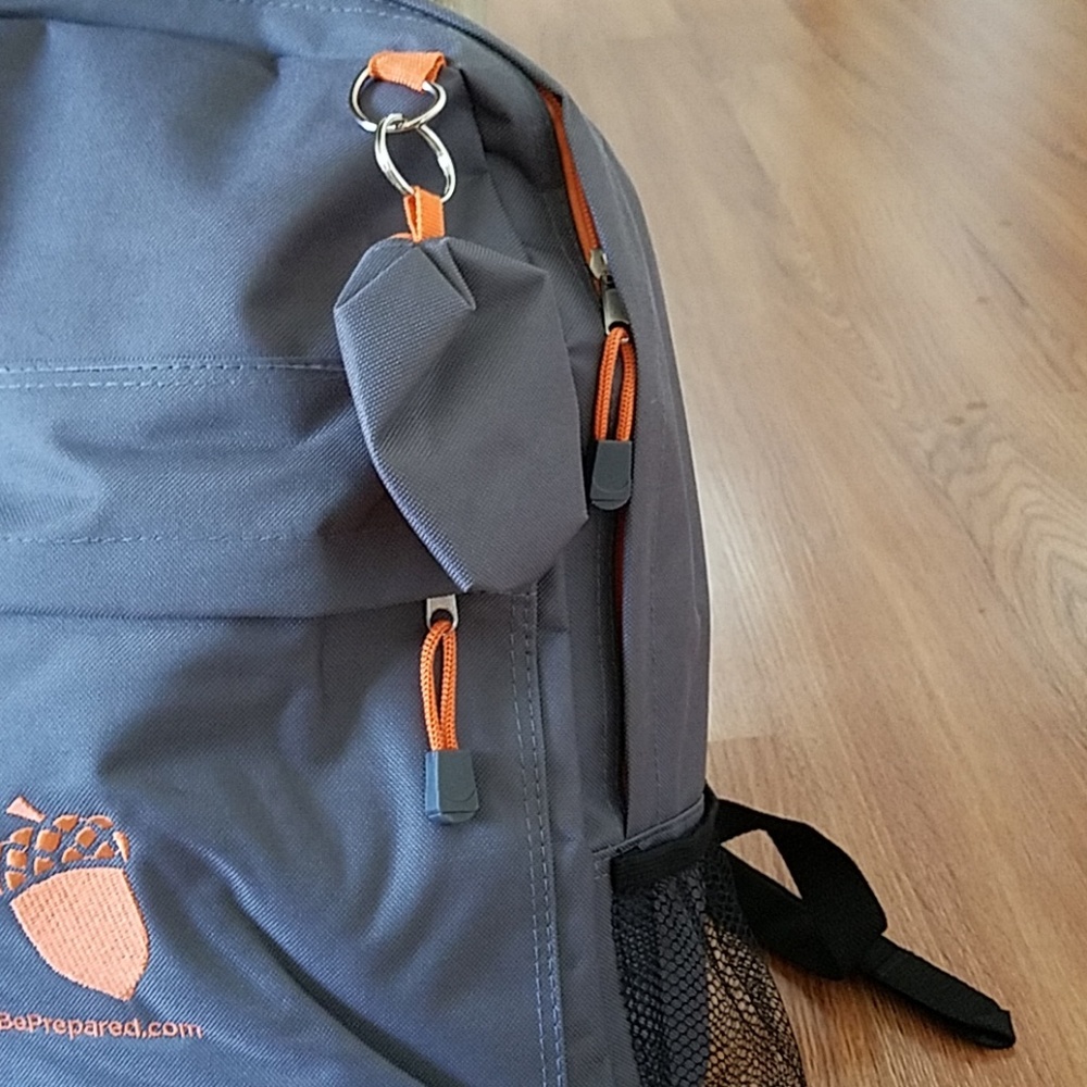 NEW backpack. - Picture 2 of 8